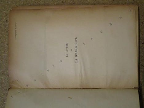 Le littré de la Grand'Côte à l'usage de ceux qui veulent parler et écrire correctement.. DU PUITSPELU Nizier