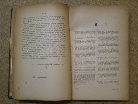 Le littré de la Grand'Côte à l'usage de ceux qui veulent parler et écrire correctement.. DU PUITSPELU Nizier
