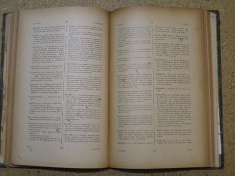 Le littré de la Grand'Côte à l'usage de ceux qui veulent parler et écrire correctement.. DU PUITSPELU Nizier