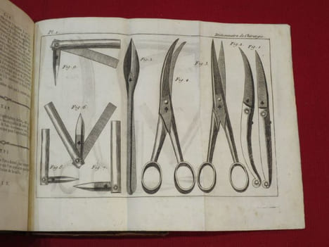 Dictionnaire portatif de Santé, dans lequel tout le monde peut prendre une connoissance suffisante de toutes les Maladies, des différents Signes qui ...