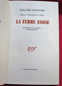 Moeurs et Merveilles du Temps, La Femme assise. Chroniques de France et d'Amérique.