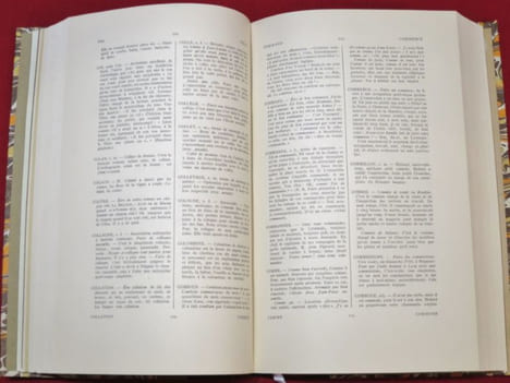 Le Littré de la Grand'Côte à l'usage de ceux qui veulent parler et écrire correctement. Avec une préface de Emile Leroudier.. PUITSPELU, Nizier du ...