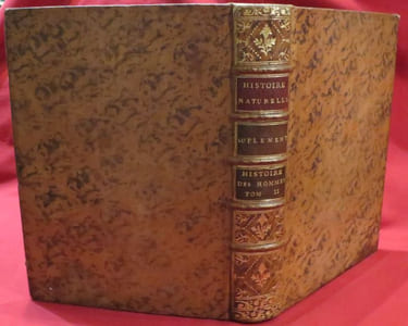 Oeuvres Complètes de M. Par M. le Comte de BUFFON, Intendant du Jardin & du Cabinet du Roi, de l'Académie Françoise, de celle des Sciences, &c. (Tome 5, vendu seul). Histoire Naturelle Générale et Particulière. Histoire Naturelle de l'Homme, Supplément.