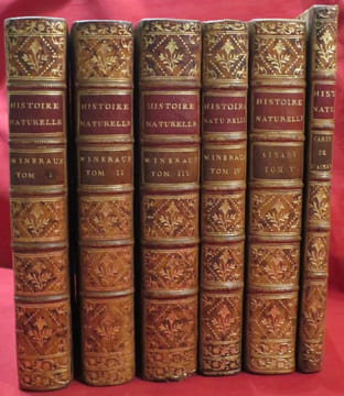 Oeuvres Complètes de M. Par M. le Comte de BUFFON, Intendant du Jardin & du Cabinet du Roi, de l'Académie Françoise, de celle des Sciences, &c. ...