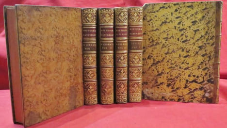 Oeuvres Complètes de M. Par M. le Comte de BUFFON, Intendant du Jardin & du Cabinet du Roi, de l'Académie Françoise, de celle des Sciences, &c. ...