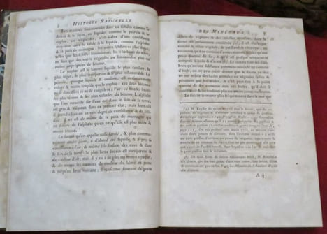 Oeuvres Complètes de M. Par M. le Comte de BUFFON, Intendant du Jardin & du Cabinet du Roi, de l'Académie Françoise, de celle des Sciences, &c. ...