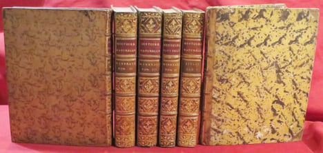 Oeuvres Complètes de M. Par M. le Comte de BUFFON, Intendant du Jardin & du Cabinet du Roi, de l'Académie Françoise, de celle des Sciences, &c. ...