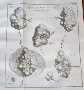Histoire de l'Académie Royale des Sciences Année MDCCV. Avec les Mémoires de Mathématiques & de Physique pour la même Année. Tirés des Registres de cette Académie. Année 1705