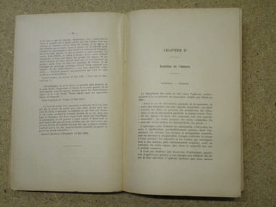 L'aphasie dans ses rapports avec la démence et les vésanies (étude historique, clinique & diagnostique, considérations médico-légales).