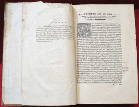 AUTORES HISTORIAE ECCLESIASTICAE. Eusebij Paphili Caesariensis episcopi libri IX. Ruffino interprete. Ruffini presbyteri Aquileienses, libri II. Item ...