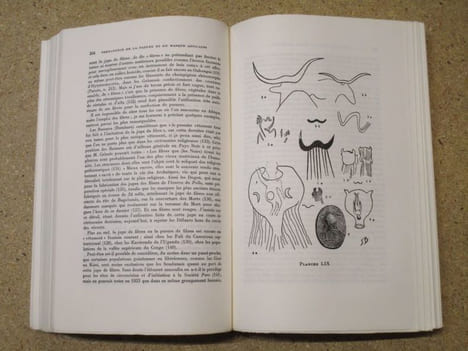 Permanence de la parure et du masque africains.. BERNOLLES Jacques