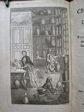 Chymie (chime) du Gout et de l'Odorat, ou Principes Pour composer facilement, & à peu de frais, les Liqueurs à boire, & les Eaux de senteurs. Avec ...