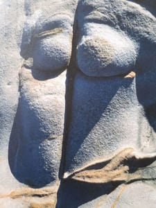 Empreintes des dieux : la saga de Point Lobos.