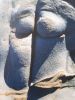 Empreintes des dieux : la saga de Point Lobos.. CLERGUE Lucien