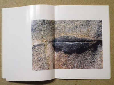 Empreintes des dieux : la saga de Point Lobos.