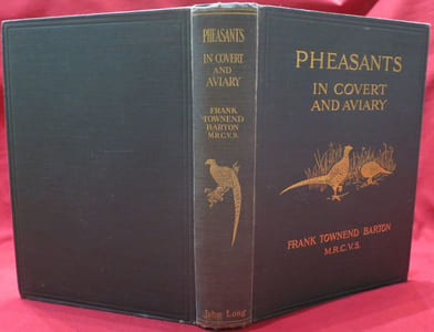 Pheasants in covert and aviary.