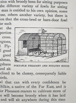 Pheasants in covert and aviary.. BARTON, Townend Frank.