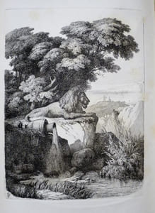 Lyon Ancien et Moderne par les Collaborateurs de la Revue du Lyonnais sous la Direction de Léon Boitel. Avec des Gravures à l'eau-forte et des vignettes sur bois par H. LEYMARIE.