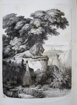 Lyon Ancien et Moderne par les Collaborateurs de la Revue du Lyonnais sous la Direction de Léon Boitel. Avec des Gravures à l'eau-forte et des ...