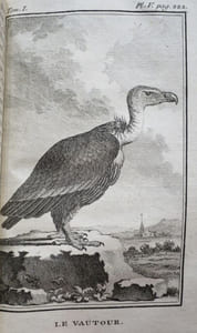 Histoire Naturelle des Oiseaux (18 volumes).