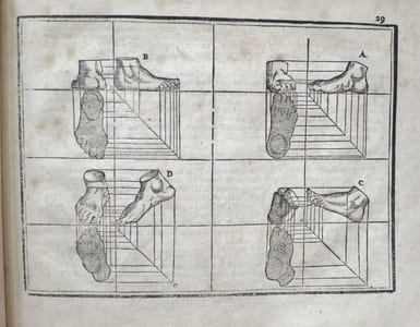 L'Art de dessiner par Jean Cousin, revu, corrigé d'après l'Antique, avec leurs mesures & proportions; d'une description exacte des Os & Muscles du Corps humain, & de leurs offices & usages; avec une instruction facile pour apprendre à dessiner toutes ces figures, selon les différens aspects qu'elles peuvent avoir.