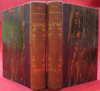 LETTRES à ma fille sur les Promenades A LYON, Rive droite de la Saone /- Les Trois jours de lyon, ou résumé des événements qui ont eu lieu pendant les journées des 21, 22 et 23 novembre 1831 (2 volumes).