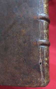 Memoires contenant la vie de Bertrand Du Guesclin, Connetable de France, qui par sa valeur à retably un Prince Catholique dans ses Etats. Où l'on ...