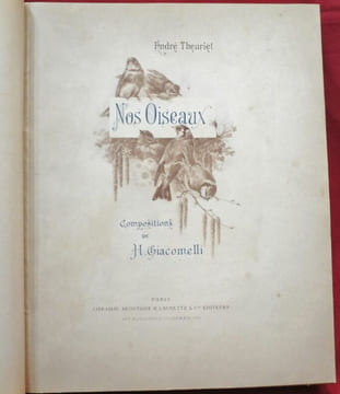 Nos Oiseaux. Compositions de H. Giacomelli.. THEURIET, André - GIACOMELLI, Hector.