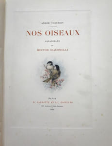Nos Oiseaux. Compositions de H. Giacomelli.