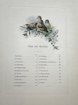 Nos Oiseaux. Compositions de H. Giacomelli.. THEURIET, André - GIACOMELLI, Hector.