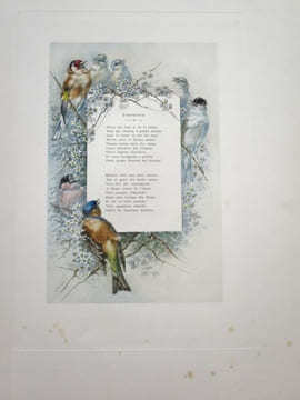 Nos Oiseaux. Compositions de H. Giacomelli.. THEURIET, André - GIACOMELLI, Hector.