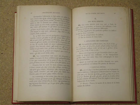 Grammaire de langue malaise.. FAVRE P. (Abbé)