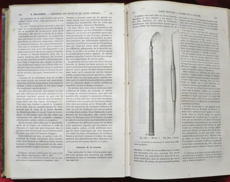 Encyclopédie internationale de Chirurgie publiée sous la direction du Docteur John Ashhurst et illustrée de figures intercallées dans le texte. Tome I ...