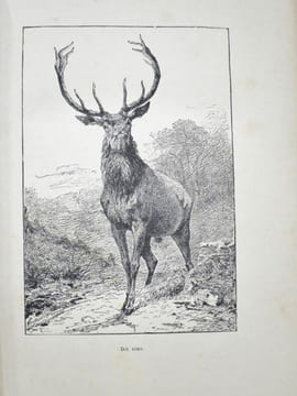 La Chasse en France. Ouvrage illustré de 122 gravures d'après les dessins de Jules Didier, Gélibert, Gridel, Ch. Jacques, Malher, Oudart, etc, etc.. ...