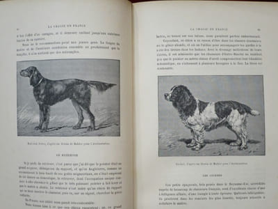 La Chasse en France. Ouvrage illustré de 122 gravures d'après les dessins de Jules Didier, Gélibert, Gridel, Ch. Jacques, Malher, Oudart, etc, etc.