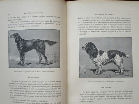 La Chasse en France. Ouvrage illustré de 122 gravures d'après les dessins de Jules Didier, Gélibert, Gridel, Ch. Jacques, Malher, Oudart, etc, etc.. ...