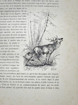 La Chasse en France. Ouvrage illustré de 122 gravures d'après les dessins de Jules Didier, Gélibert, Gridel, Ch. Jacques, Malher, Oudart, etc, etc.. ...