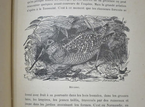 La Chasse en France. Ouvrage illustré de 122 gravures d'après les dessins de Jules Didier, Gélibert, Gridel, Ch. Jacques, Malher, Oudart, etc, etc.. ...
