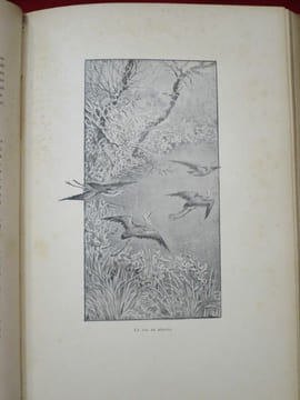 La Chasse en France. Ouvrage illustré de 122 gravures d'après les dessins de Jules Didier, Gélibert, Gridel, Ch. Jacques, Malher, Oudart, etc, etc.. ...