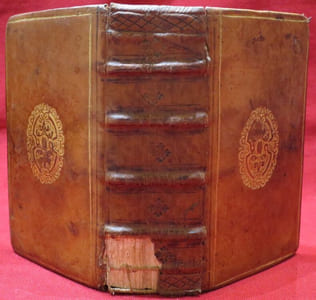 D. Hieronymi Stridoniensis Epistolae Selectae, & in libros tres distributae opera D. Petri Canisij (Pierre Canisius) Theologi : Nunc primum ad exemplar Mariani Victorÿ Restini, Episcopi Amerini, emendate, argumentisque illustrate. Cum Rerum & verborum Indice Locupletissimo.