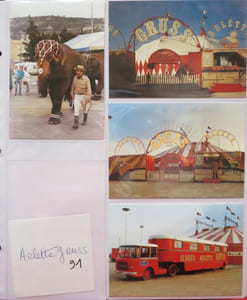 Album contenant des Cartes postales des différents Cirques : Cirque Arlette GRUSS, 1990-91-93, 9 cartes couleurs - Alexis GRUSS, 1991, 8 cartes en noir et blanc - Cirque AMAR, 1984-88-78-93, 7 cartes couleurs - Cirque Danix TOGNI, 1992, 7 cartes noir et blanc, 1989-90-92, 20 cartes couleurs - Cirque NOCK, 1987-92, 16 cartes couleurs - Cirque PAUWELLS, 1986-88-89, 10 cartes couleurs, PAUWELS présente E. BOUGLIONE, 1990-91-92, 4 cartes en noir et blanc et 5 en couleurs - Cirque PINDER, 1986-89-93, 6 cartes couleurs - Cirque PINDER-JEAN-RICHARD, 1986-89-90, 7 cartes couleurs - Cirque Achille ZAVATTA 2, Cirque Achille ZAVATTA, Cirque ZAVATTA fils, 1986-89-90, 46 cartes couleurs - Cirque acrobatique de PEKIN, troupe de HANGZHOU, 1990, 3 cartes couleurs - Troupe acrobatique chinoise de WUHAN, 1990, 4 cartes couleurs - Cirque Joseph E. BOUGLIONE, 1990, 2 cartes couleurs - Cirque Albert RANCY, 1983, 1 carte couleur de Roger Lanzac et Maxi - Cirque Franck ZAVATTA, 1993, 4 cartes couleurs (tirage inférieur à 100 ex.) - John CAMPOLONGO, 1993, vu à Monaco, 2 cartes en noir et blanc et 3 couleurs - Rico Micheletty, 1994, 1 carte noir et blanc - Billy Wilson-Smart, 1994, 1 carte noir et blanc - Pieric, 1994, 2 cartes noir et blanc - Cirque Christiane GRUSS, 1990, 4 cartes couleurs - Cirque KNIE, 19-88-90-92, 37 cartes couleurs.