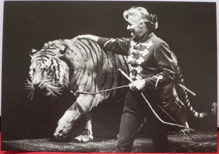 Album contenant des Cartes postales des différents Cirques : Cirque Arlette GRUSS, 1990-91-93, 9 cartes couleurs - Alexis GRUSS, 1991, 8 cartes en noir et blanc - Cirque AMAR, 1984-88-78-93, 7 cartes couleurs - Cirque Danix TOGNI, 1992, 7 cartes noir et blanc, 1989-90-92, 20 cartes couleurs - Cirque NOCK, 1987-92, 16 cartes couleurs - Cirque PAUWELLS, 1986-88-89, 10 cartes couleurs, PAUWELS présente E. BOUGLIONE, 1990-91-92, 4 cartes en noir et blanc et 5 en couleurs - Cirque PINDER, 1986-89-93, 6 cartes couleurs - Cirque PINDER-JEAN-RICHARD, 1986-89-90, 7 cartes couleurs - Cirque Achille ZAVATTA 2, Cirque Achille ZAVATTA, Cirque ZAVATTA fils, 1986-89-90, 46 cartes couleurs - Cirque acrobatique de PEKIN, troupe de HANGZHOU, 1990, 3 cartes couleurs - Troupe acrobatique chinoise de WUHAN, 1990, 4 cartes couleurs - Cirque Joseph E. BOUGLIONE, 1990, 2 cartes couleurs - Cirque Albert RANCY, 1983, 1 carte couleur de Roger Lanzac et Maxi - Cirque Franck ZAVATTA, 1993, 4 cartes couleurs (tirage inférieur à 100 ex.) - John CAMPOLONGO, 1993, vu à Monaco, 2 cartes en noir et blanc et 3 couleurs - Rico Micheletty, 1994, 1 carte noir et blanc - Billy Wilson-Smart, 1994, 1 carte noir et blanc - Pieric, 1994, 2 cartes noir et blanc - Cirque Christiane GRUSS, 1990, 4 cartes couleurs - Cirque KNIE, 19-88-90-92, 37 cartes couleurs.