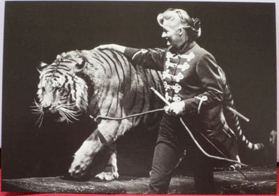 Album contenant des Cartes postales des différents Cirques : Cirque Arlette GRUSS, 1990-91-93, 9 cartes couleurs - Alexis GRUSS, 1991, 8 cartes en noir et blanc - Cirque AMAR, 1984-88-78-93, 7 cartes couleurs - Cirque Danix TOGNI, 1992, 7 cartes noir et blanc, 1989-90-92, 20 cartes couleurs - Cirque NOCK, 1987-92, 16 cartes couleurs - Cirque PAUWELLS, 1986-88-89, 10 cartes couleurs, PAUWELS présente E. BOUGLIONE, 1990-91-92, 4 cartes en noir et blanc et 5 en couleurs - Cirque PINDER, 1986-89-93, 6 cartes couleurs - Cirque PINDER-JEAN-RICHARD, 1986-89-90, 7 cartes couleurs - Cirque Achille ZAVATTA 2, Cirque Achille ZAVATTA, Cirque ZAVATTA fils, 1986-89-90, 46 cartes couleurs - Cirque acrobatique de PEKIN, troupe de HANGZHOU, 1990, 3 cartes couleurs - Troupe acrobatique chinoise de WUHAN, 1990, 4 cartes couleurs - Cirque Joseph E. BOUGLIONE, 1990, 2 cartes couleurs - Cirque Albert RANCY, 1983, 1 carte couleur de Roger Lanzac et Maxi - Cirque Franck ZAVATTA, 1993, 4 cartes couleurs (tirage inférieur à 100 ex.) - John CAMPOLONGO, 1993, vu à Monaco, 2 cartes en noir et blanc et 3 couleurs - Rico Micheletty, 1994, 1 carte noir et blanc - Billy Wilson-Smart, 1994, 1 carte noir et blanc - Pieric, 1994, 2 cartes noir et blanc - Cirque Christiane GRUSS, 1990, 4 cartes couleurs - Cirque KNIE, 19-88-90-92, 37 cartes couleurs.