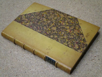 L'opéra secret au XVIIIe siècle, 1770-1790 : aventures et intrigues secrètes racontées d'après les papiers inédits conservés aux Archives de l'Etat et de l'Opéra.