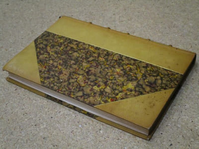 L'opéra secret au XVIIIe siècle, 1770-1790 : aventures et intrigues secrètes racontées d'après les papiers inédits conservés aux Archives de l'Etat et de l'Opéra.