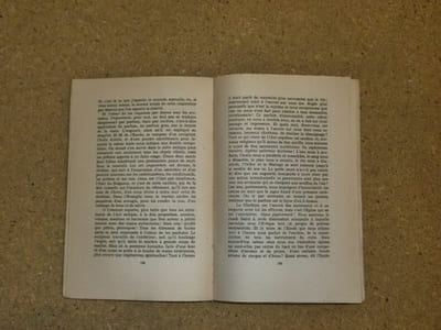 Paul Claudel interroge le Cantique des Cantiques.