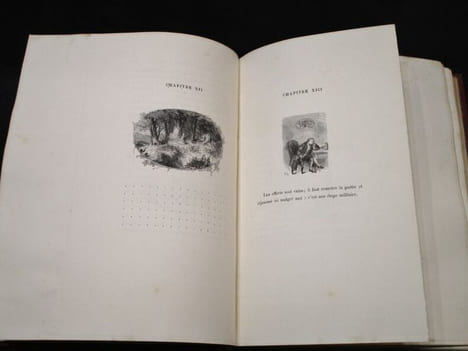 Oeuvres Complètes du comte Xavier de Maistre. Edition illustrée pour la première fois, précédée d'une notice sur l'auteur par M. Sainte-Beuve. ...