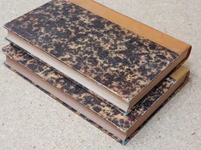 Anacharsis Cloots, l'orateur du genre humain (2 volumes).