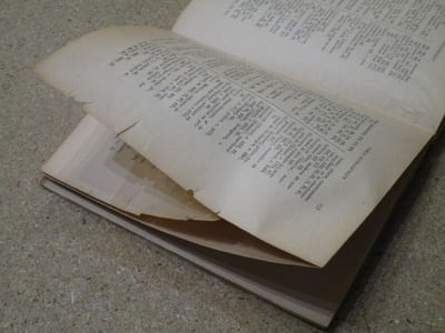Les papiers des dévôts de Lyon : recueil de textes sur la Compagnie secrète du Saint-Sacrement, ses statuts, ses annales, la liste de ses membres, 1630-1731.