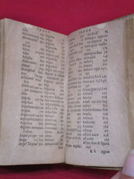 De situ orbis libru XVII. Editi quidem in eorum gratiam, qui Geographiae studiosi sunt, olim (ut putatur) à Guarino Ve ronesi, [...]. Tome I seul.. ...